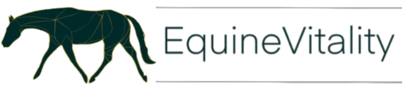 EquineVitality fizjoterapia koni logo podłużne z liniami