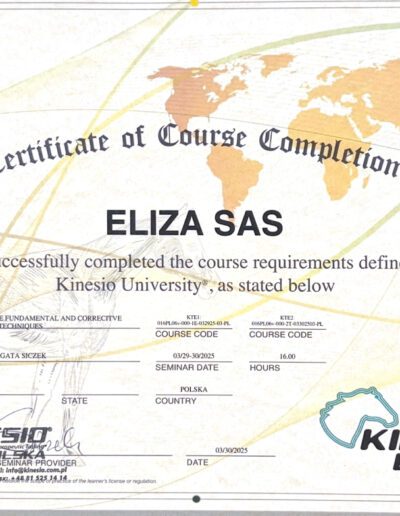 Fizjoterapia koni - certyfikat Kinesio