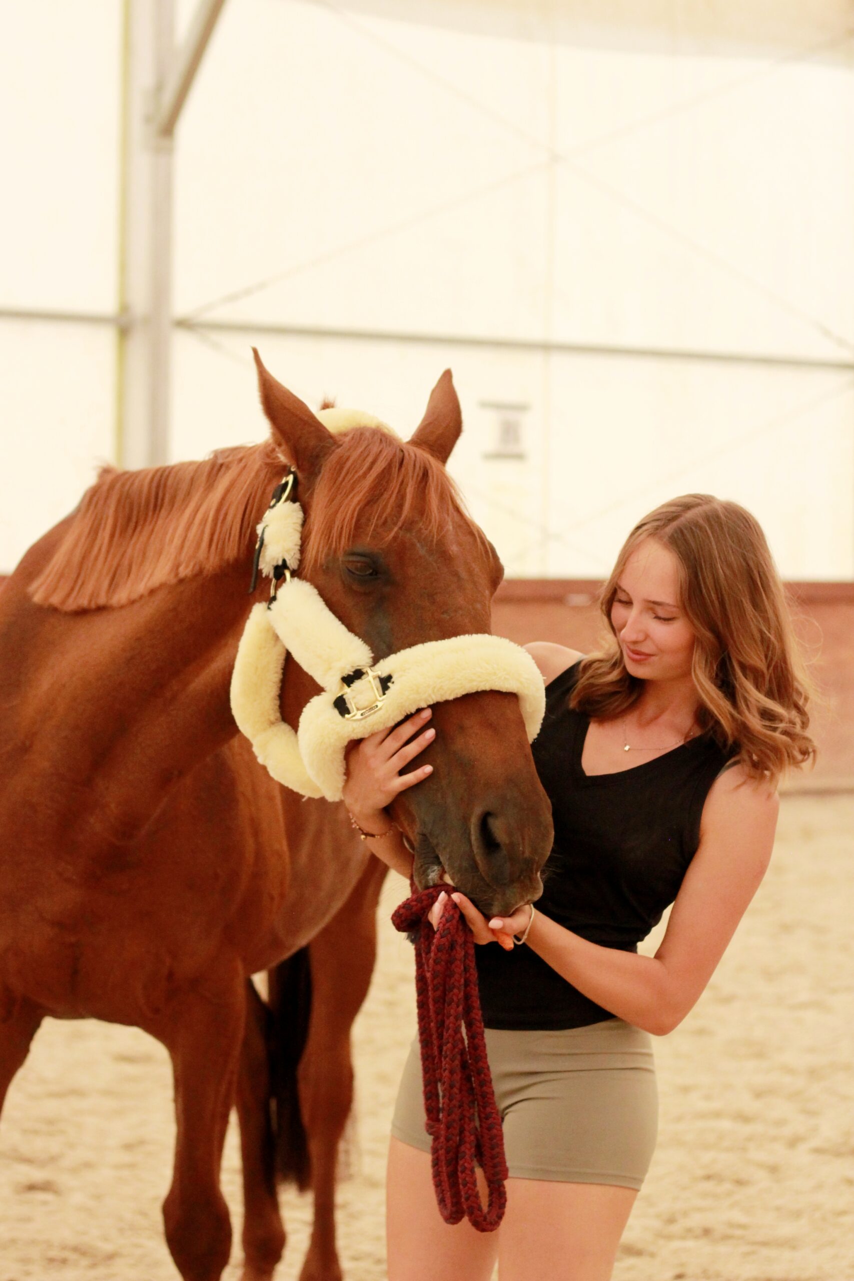 Fizjoterapia koni Kontakt Eliza Sas