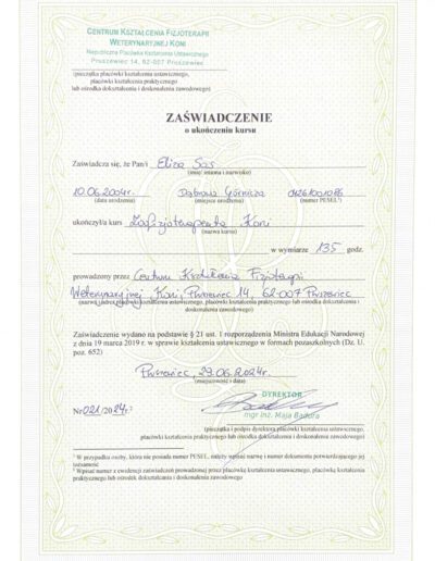 Fizjoterapia koni certyfikat kurs zoofizjoterapeuta