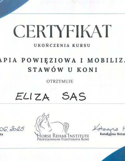 Fizjoterapia koni - certyfikat terapia powięziowa