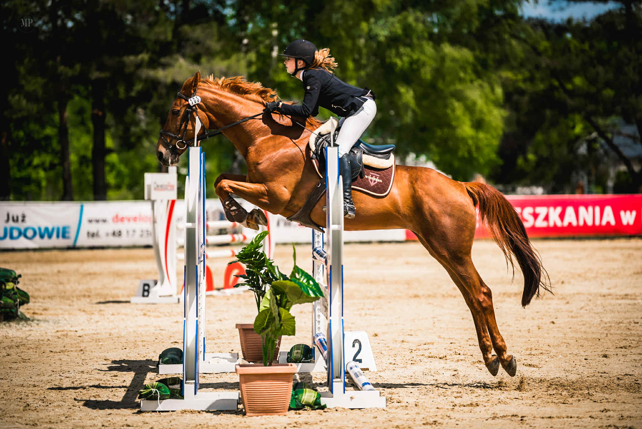 fizjoterapia koni - pacjent6