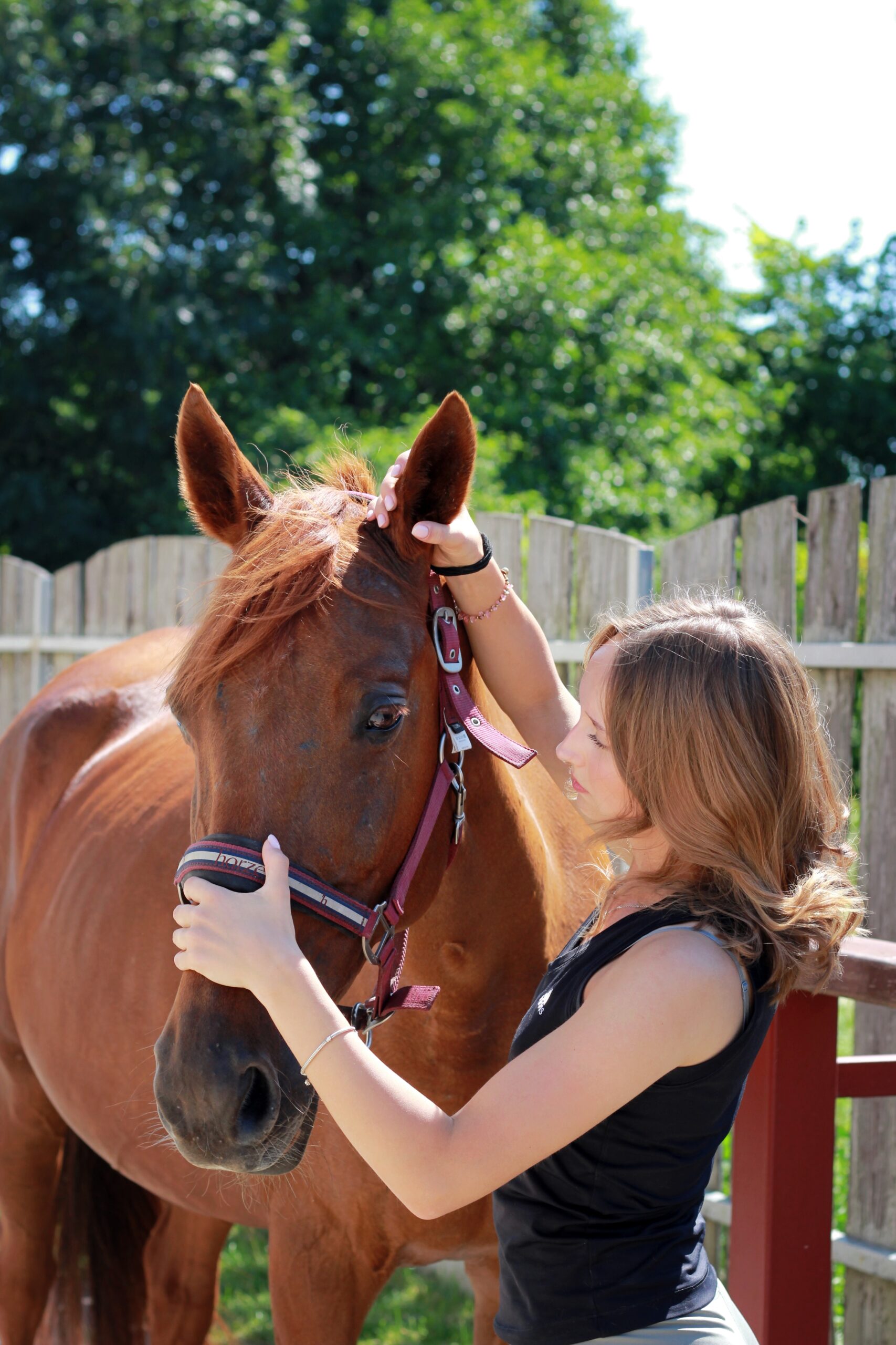 fizjoterapeutka koni