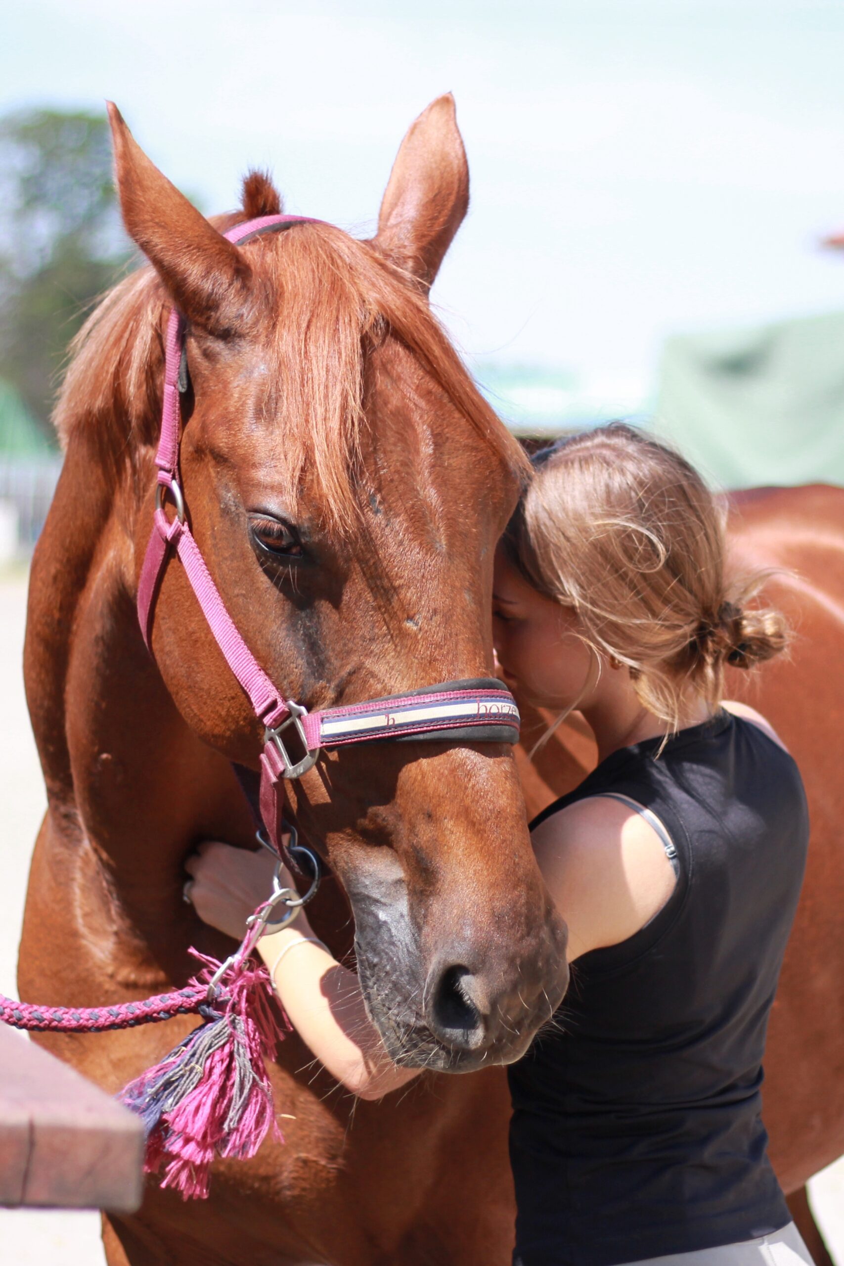 fizjoterapia koni eliza sas