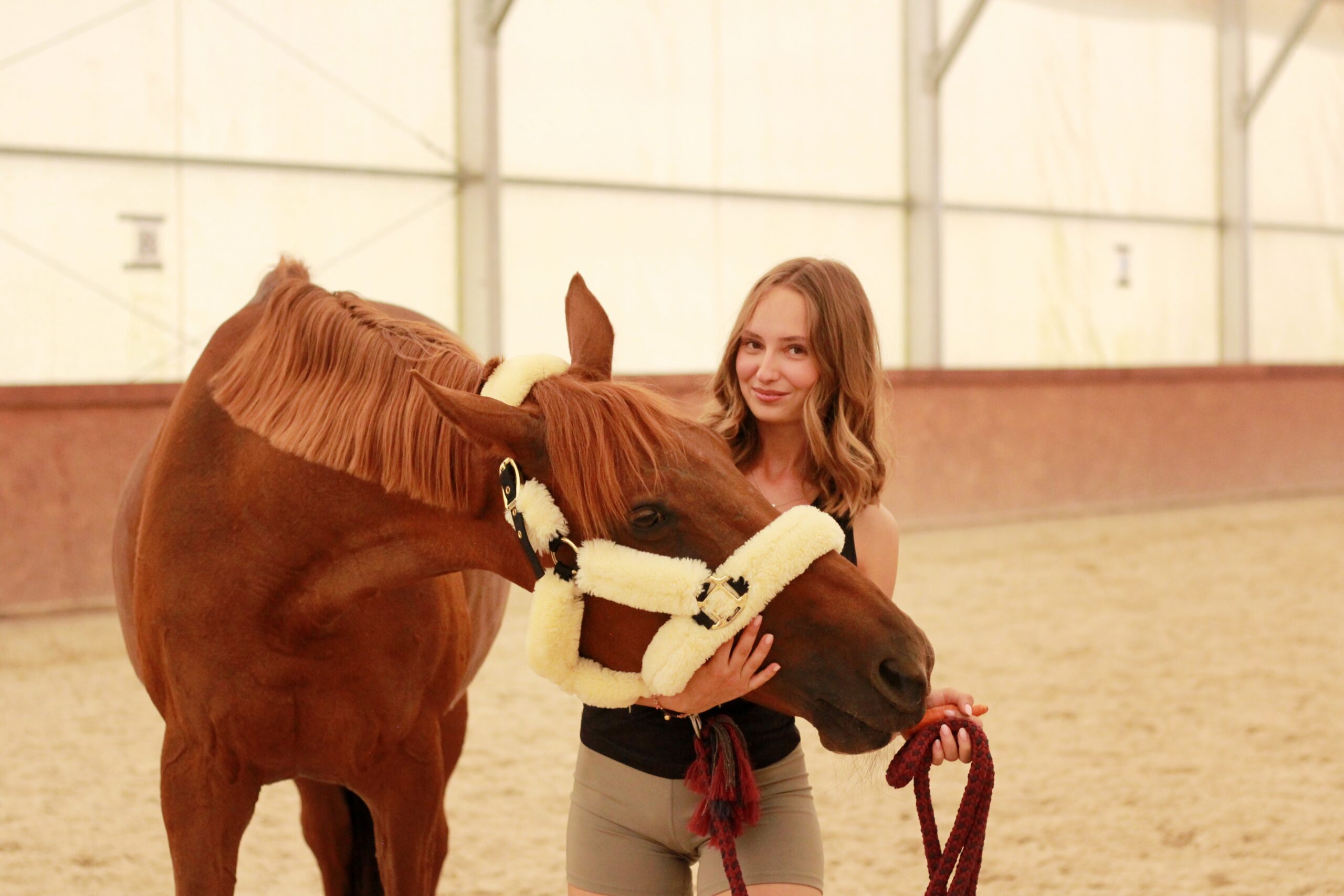 fzijoterapia koni equinevitality