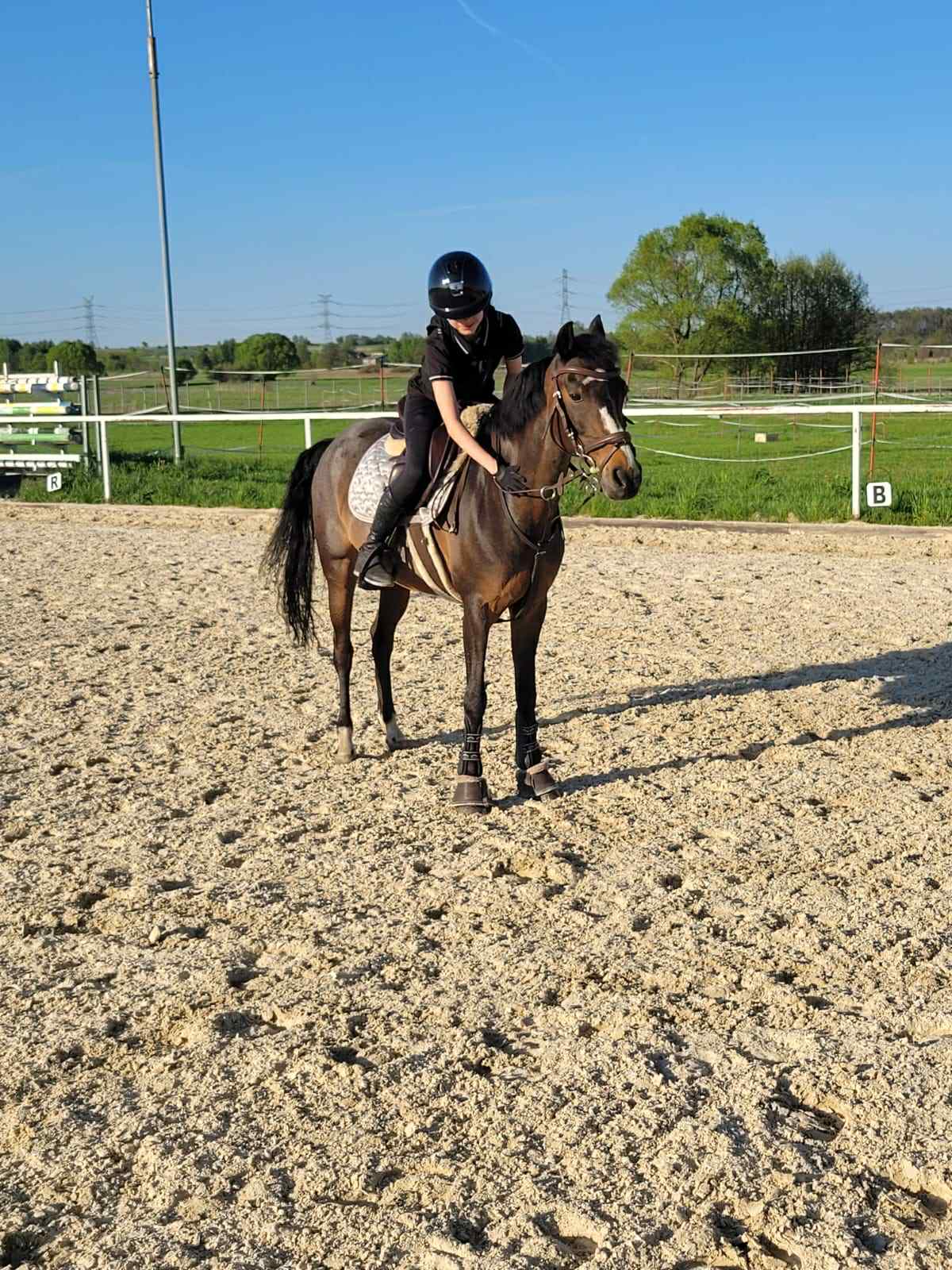 fizjoterapia koni - pacjent1