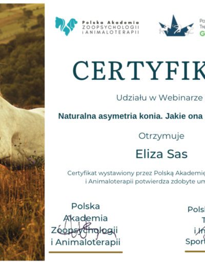 Fizjoterapia koni - certyfikat asymetria
