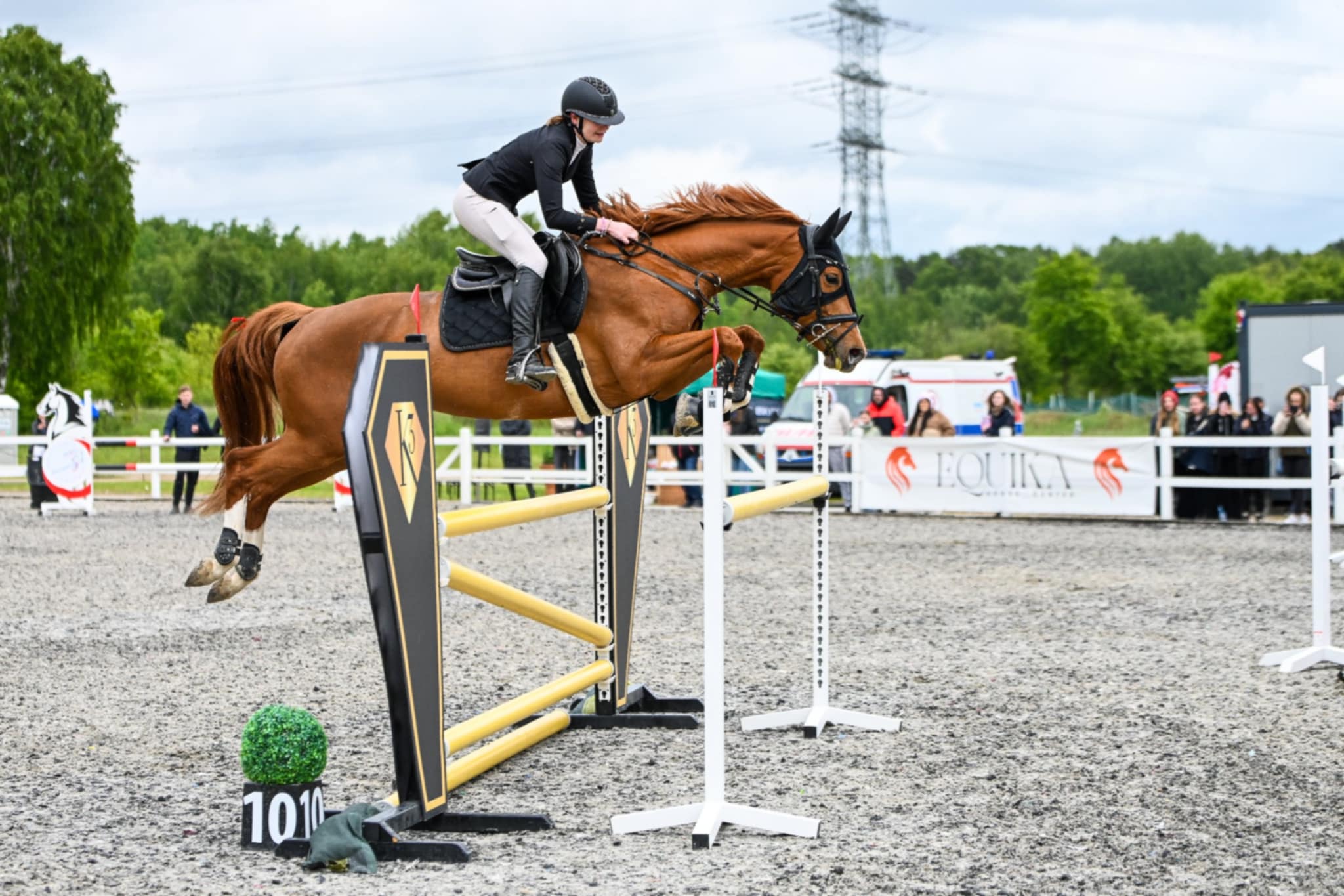 fizjoterapia koni - pacjent2