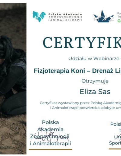 Fizjoterapia koni - certyfikat drenaż limfatyczny