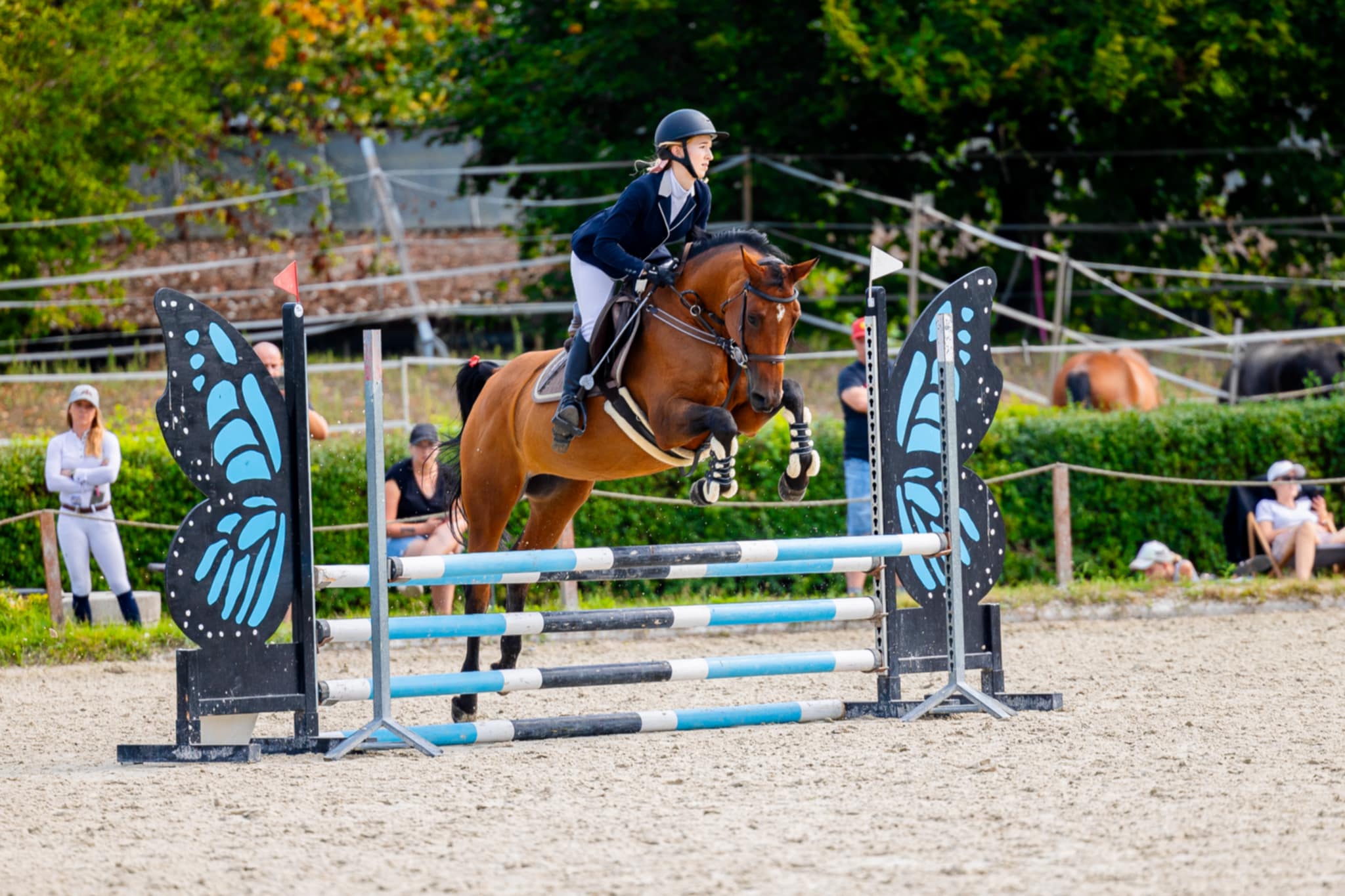 fizjoterapia koni - pacjent3