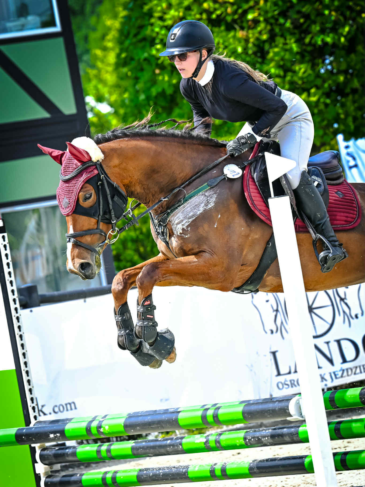 fizjoterapia koni - pacjent4a