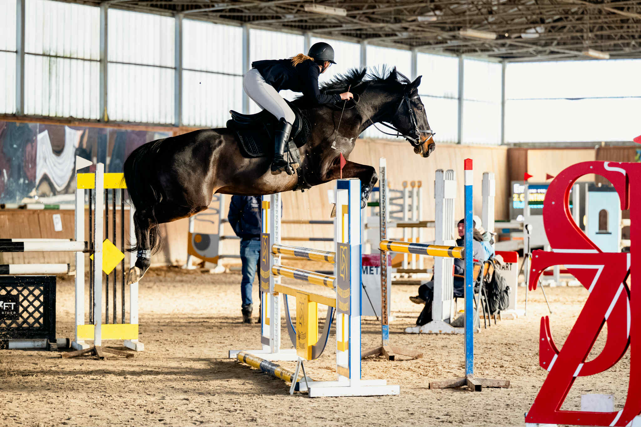 fizjoterapia koni - pacjent5