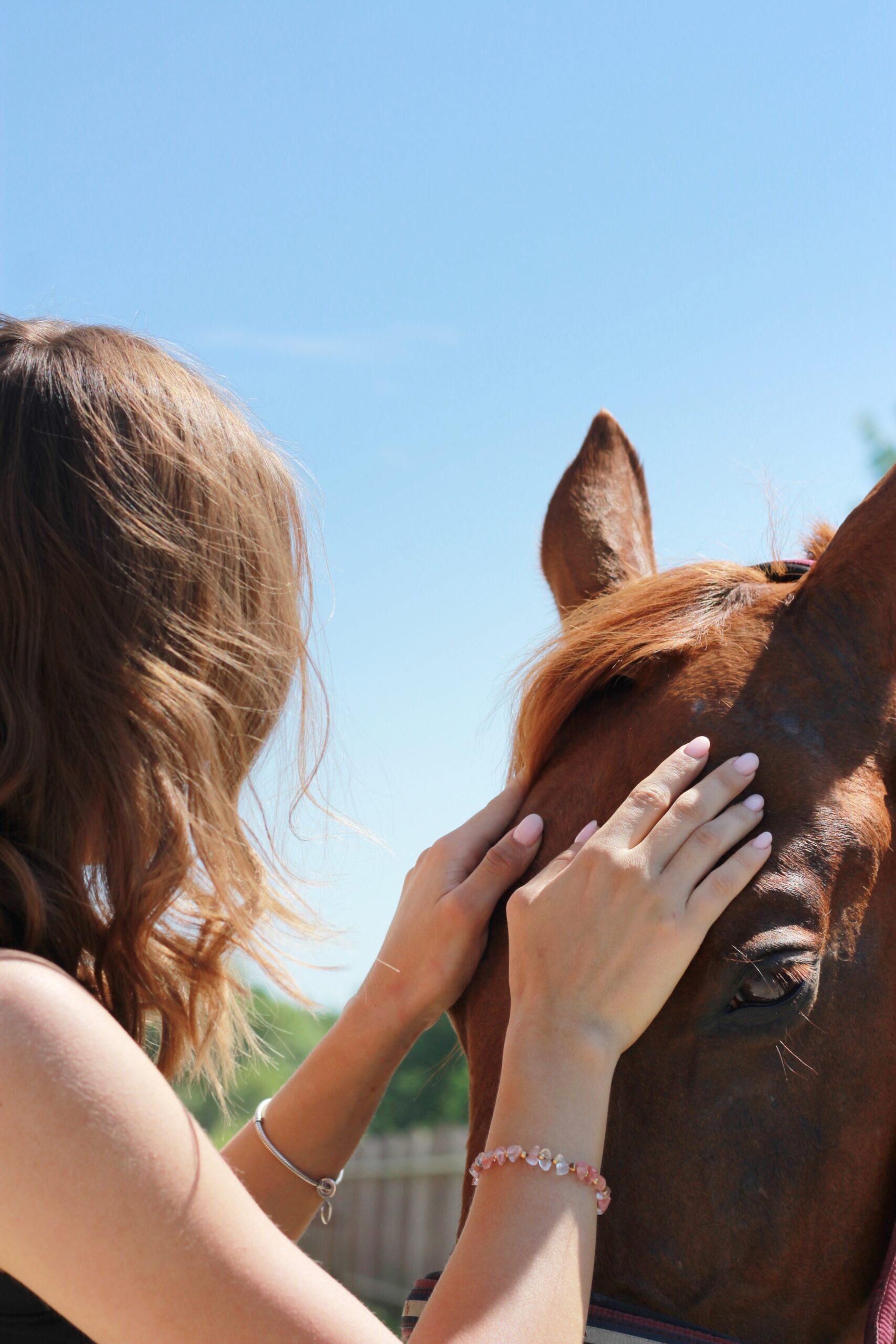 manualna fizjoterapia koni