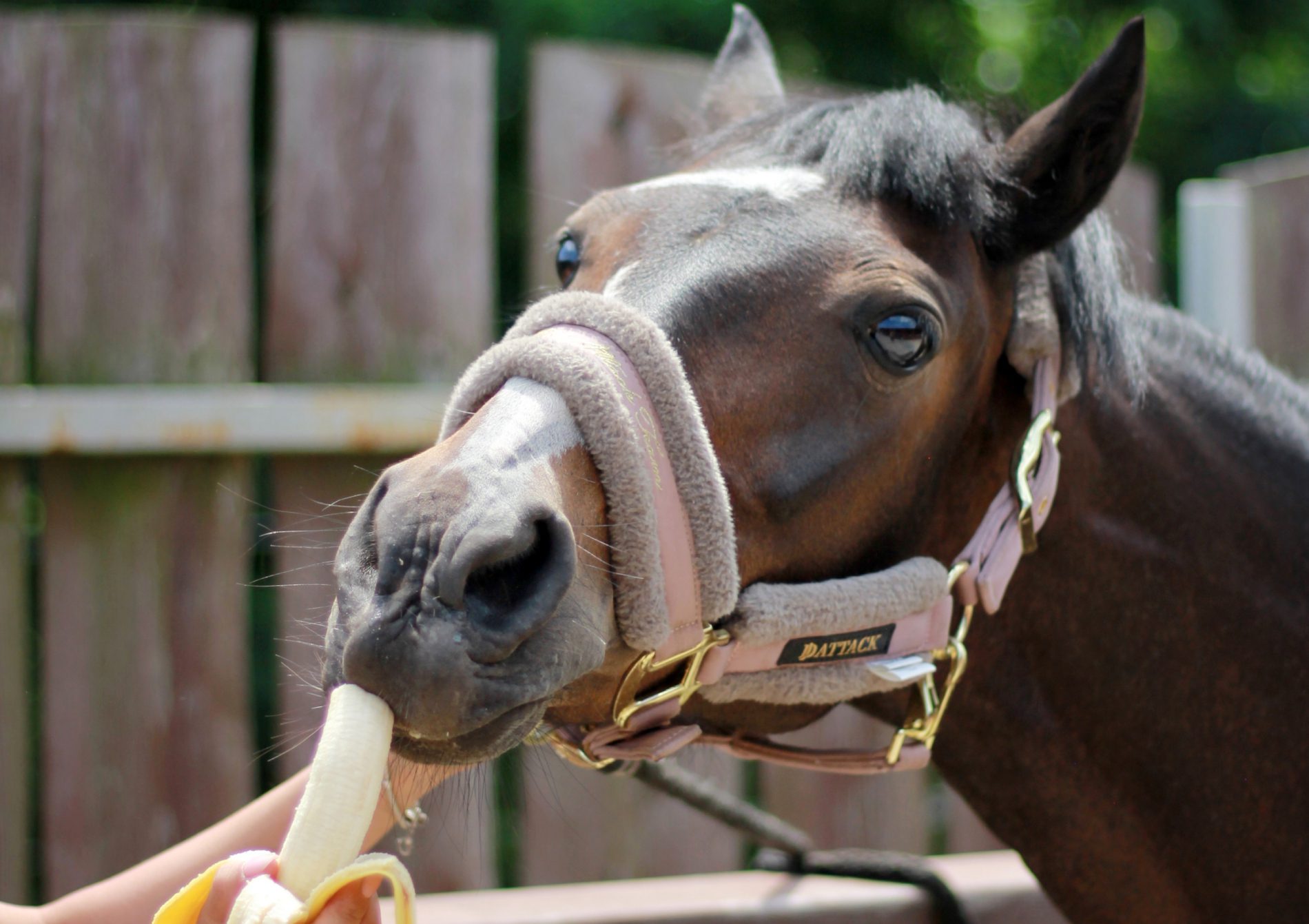 pierwsza wizyta fizjoterapeuty