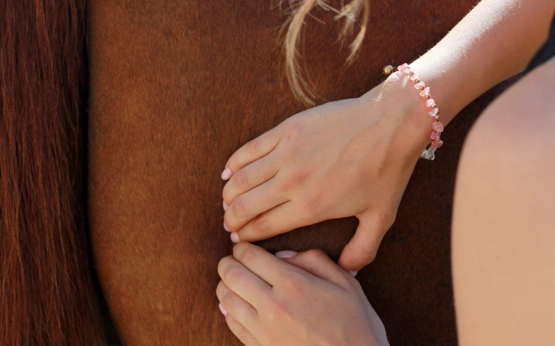 Najczęstsze problemy mięśniowe u koni – jak je rozpoznać i jak sobie z nimi radzić?