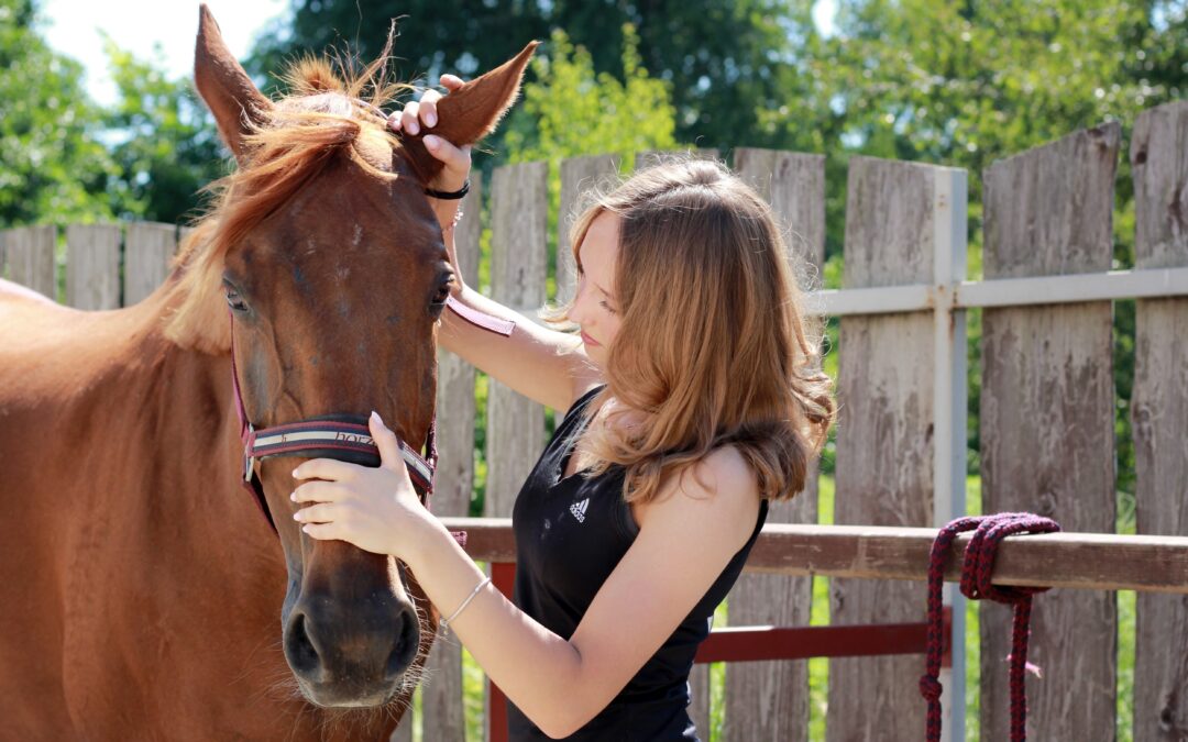 Koń po masażu – kilka wskazówek dla właściciela